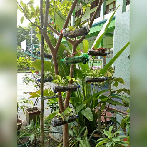 KEINDAHAN dari BOTOL BEKAS DI SD SMP KRISTEN ALETHEIA