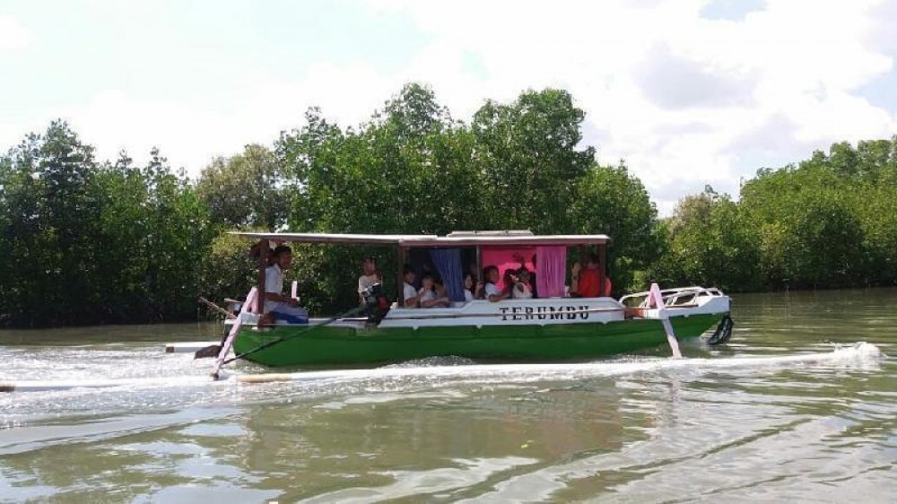 WIDYAWISATA KE HUTAN  MANGROVE  LEMBAR LOMBOK BARAT