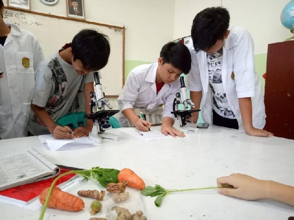 PENGAMATAN ORGAN PENYUSUN TUMBUHAN BESERTA FUNGSINYA