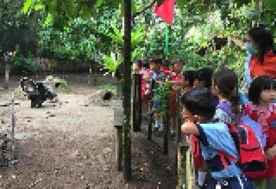 Kunjungan ke Taman Impian Suranadi dalam tema pembelajaran Alam Semesta