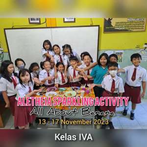 Aletheia Sparkling Activity