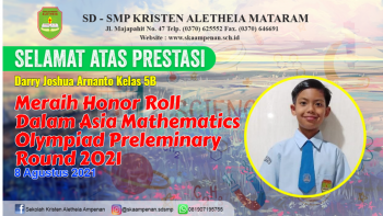 Asian Mathematics Olympiad Prelementary Round 2021